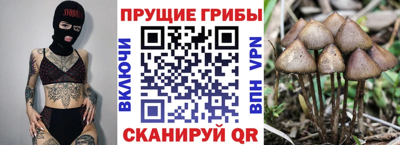 Псилоцибиновые грибы Cubensis  KRAKEN как войти  Агидель 