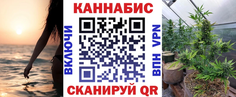дарнет шоп Агидель Марихуана сатива